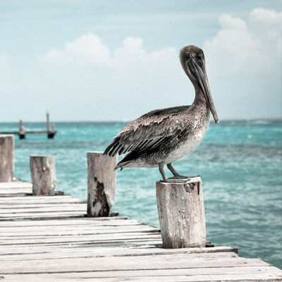 求个便宜渠道的免费ddos在线攻击测试网站