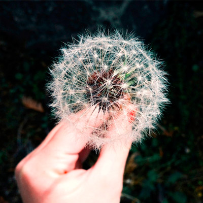 Web漏洞扫描工具